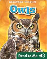 Owls: Backyard Wildlife