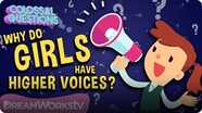 Why Do Girls Have Higher Voices? | COLOSSAL QUESTIONS