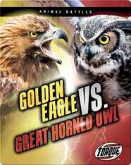 Animal Battles: Golden Eagle vs. Great Horned Owl