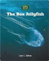 Toxic Creatures: The Box Jellyfish