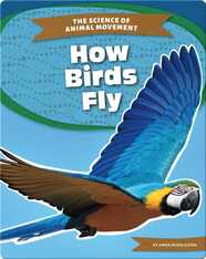 The Science of Animal Movement: How Birds Fly