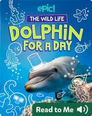 The Wild Life: Dolphin for a Day