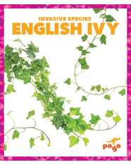 Invasive Species: English Ivy