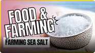 Food and Farming: Farming Sea Salt