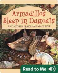 Armadillos Sleep In Dugouts And Other Places Animals Live