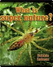 What Is Super Nature?