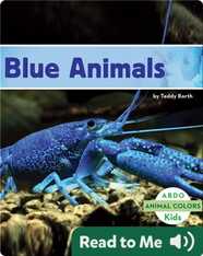 Blue Animals