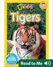 National Geographic Readers: Tigers