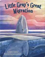 Little Gray's Great Migration