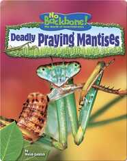 Deadly Praying Mantises