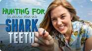 Hunting for 50 MILLION year old Shark Teeth!