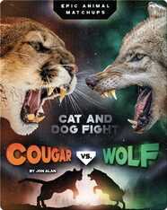 Cougar vs. Wolf