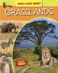 Grasslands