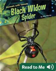Animals with Venom: Black Widow Spider