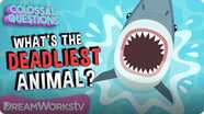 Colossal Questions: What's the Deadliest Animal on Earth?