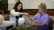 Fast Forward Girls: Bailey Ballinger Finds Out How Brains Work
