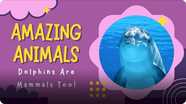 Amazing Animals: Dolphins are Mammals Too