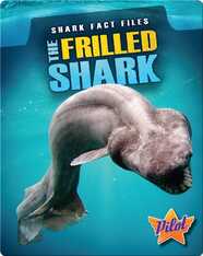 Shark Fact Files: The Frilled Shark