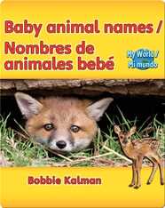 Baby animal names / Nombres de animales bebé