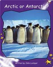 Arctic or Antarctic?