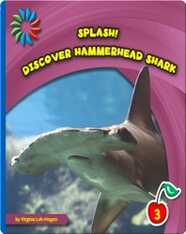 Discover Hammerhead Sharks