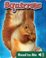 Squirrels: Backyard Wildlife