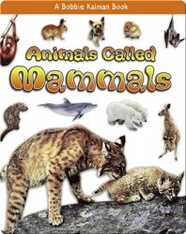 Animals called Mammals