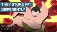 How Sumo Wrestlers Stay Healthy On 7,000 Calories A Day