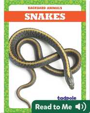 Backyard Animals: Snakes