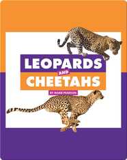 Comparing Animal Differences: Leopards and Cheetahs