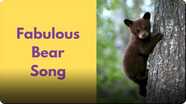 Bear in the Bush: Fabulous Bear Song