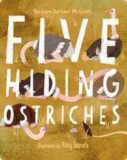 Five Hiding Ostriches