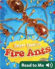 Creepy Crawlies: Fire Ants
