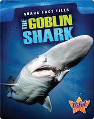 Shark Fact Files: The Goblin Shark