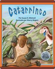 Catarrinco