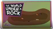 SciShow Kids: The World Under a Rock!