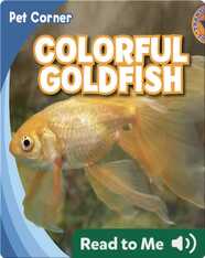 Colorful Goldfish