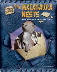 The Maiasaura Nests: Jack Horner's Dinosaur Eggs