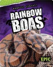 Rainbow Boas