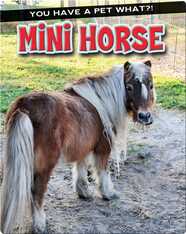 Mini Horse
