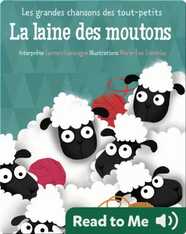 La laine des moutons