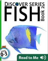 Fish 2