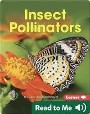Insect Pollinators