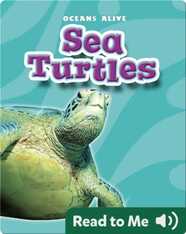 Sea Turtles: Oceans Alive
