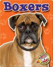 Boxers: Dog Breeds