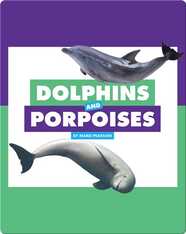 Comparing Animal Differences: Dolphins and Porpoises