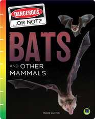 Dangerous...or Not?: Bats and Other Mammals