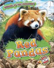 Animals of the Mountains: Red Pandas