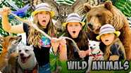 Learn About Animals with The Wild Adventure Girls!