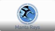 Amazing Animals: Manta Rays